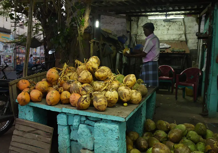 Exclusive Eco Friendly Coconut Shell Craft from Kerala