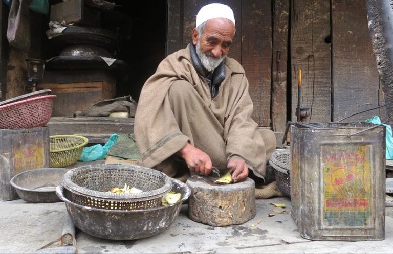 Kashmiri Embroidery Srinagar | Research On Kashmir Handicraft