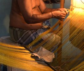 Saree Weaving ~ Thirubuvanam