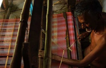 Saree Weaving ~ Vanavasi